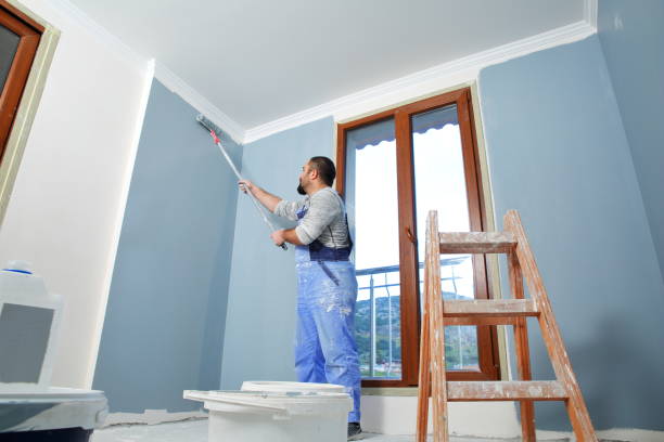 Mold Odor Removal Services in Hampstead, MD