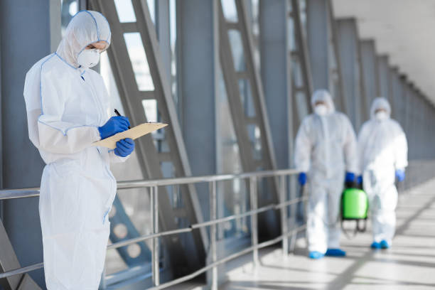 Best Mold Remediation for Rental Properties  in Hampstead, MD