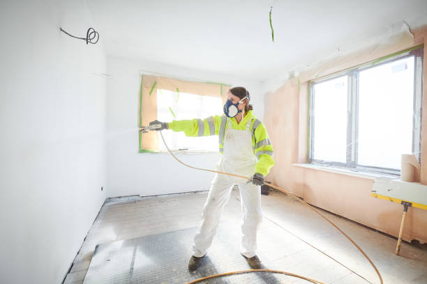 Best Post-Construction Mold Inspection  in Hampstead, MD