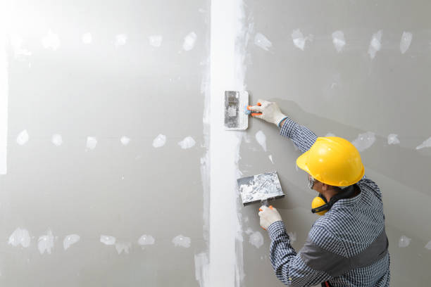 Best Post-Remediation Verification Testing  in Hampstead, MD