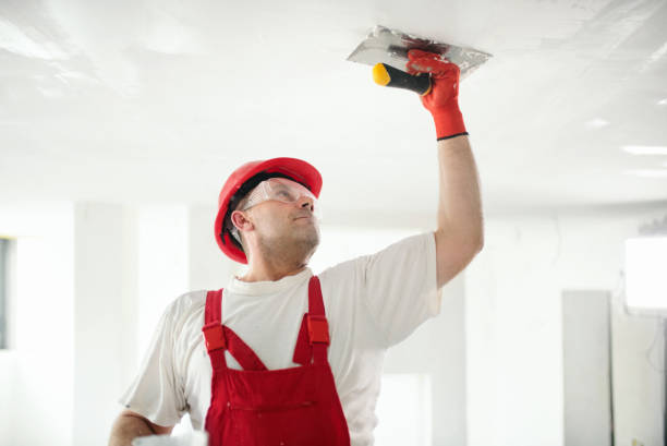 Best Residential Mold Inspection & Testing  in Hampstead, MD
