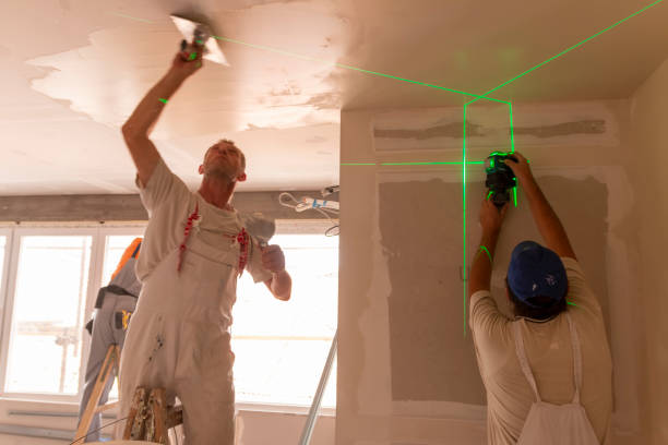 Best Forensic Mold Investigation  in Hampstead, MD