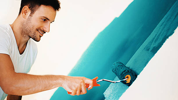 Professional Mold Removal in Hampstead, MD